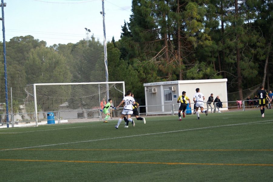 gallery-item