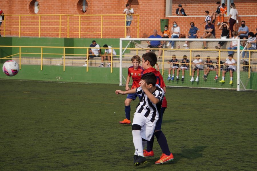 gallery-item