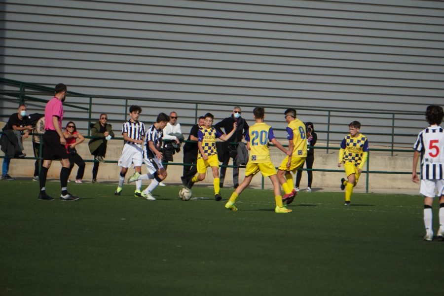 gallery-item
