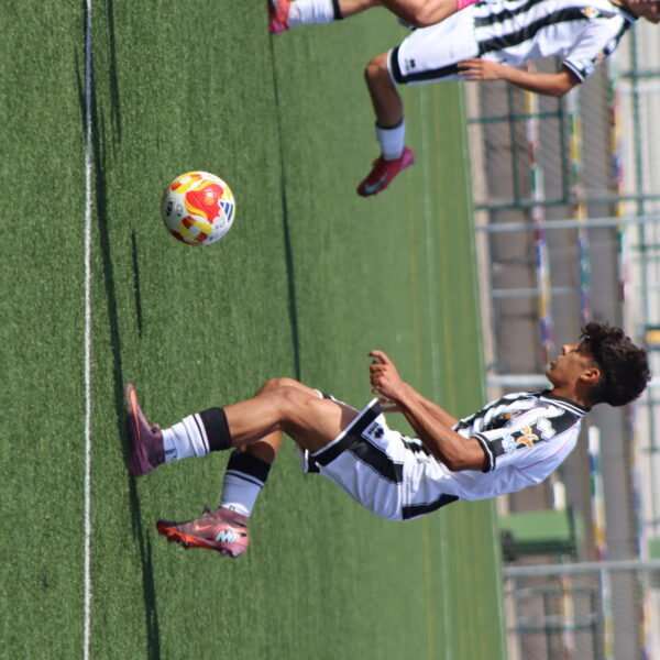 gallery-item