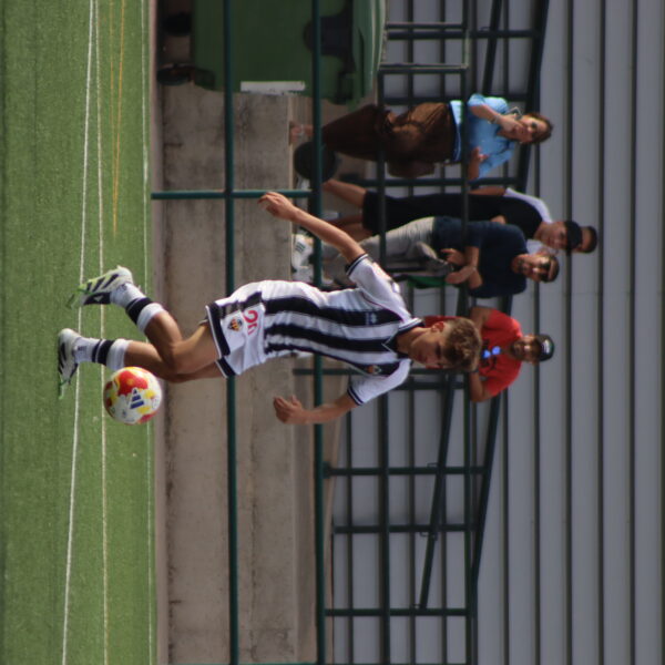 gallery-item