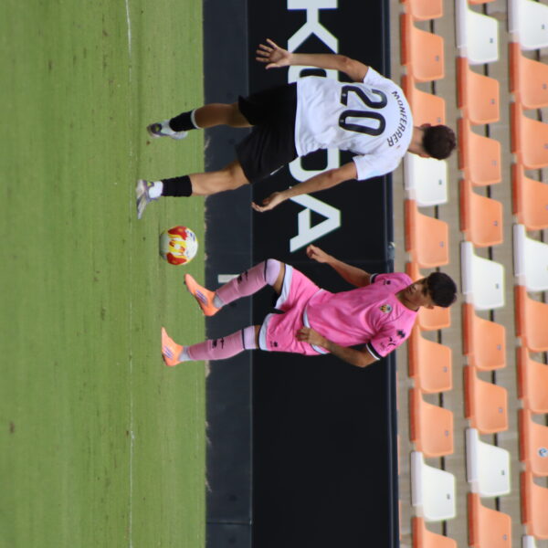 gallery-item