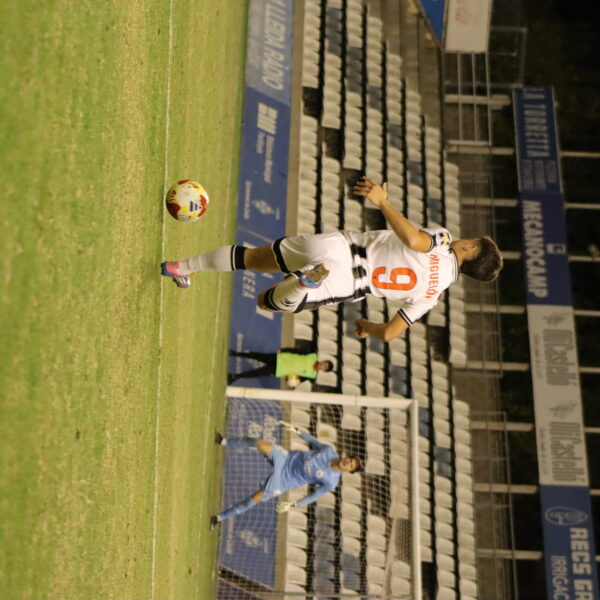 gallery-item