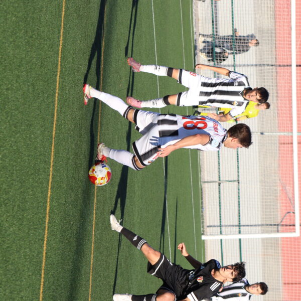 gallery-item