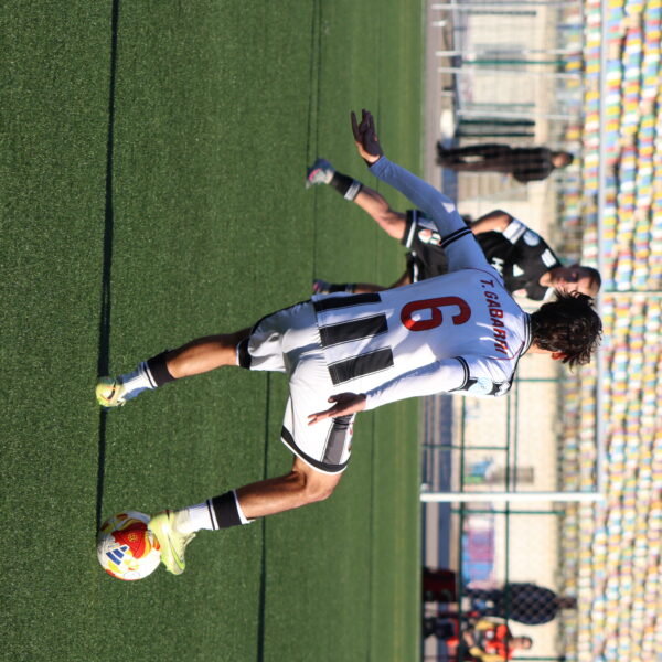 gallery-item