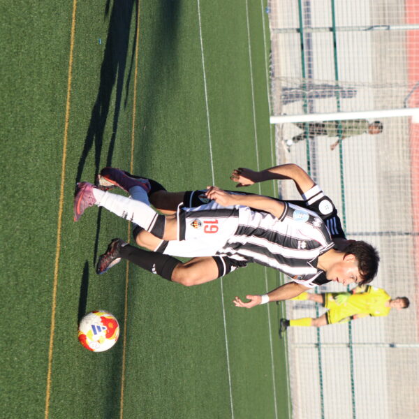 gallery-item