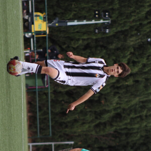 gallery-item