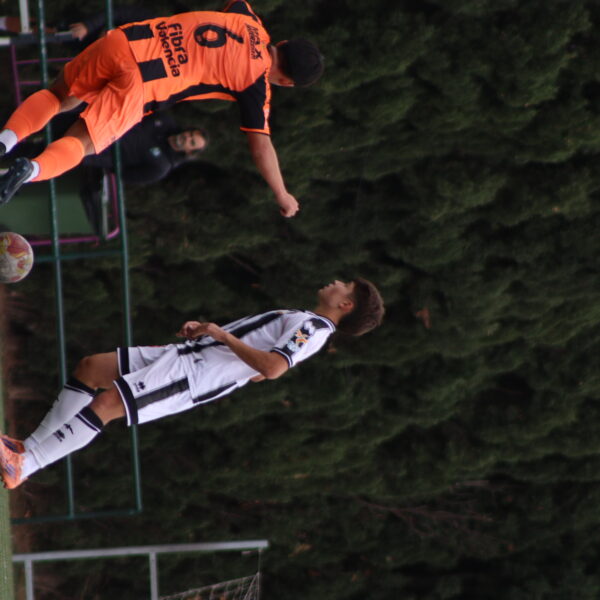 gallery-item