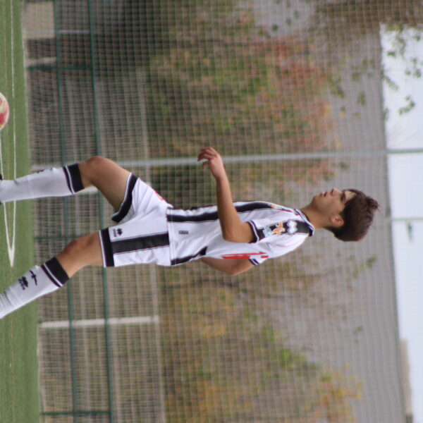 gallery-item