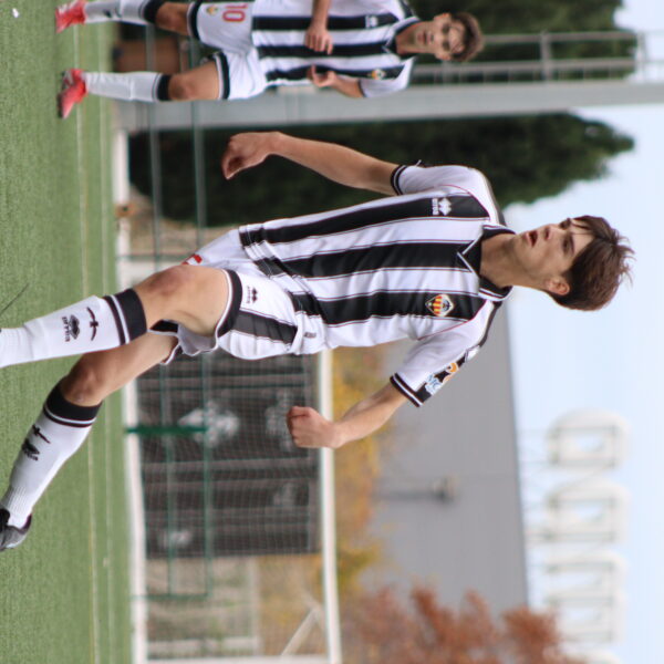 gallery-item