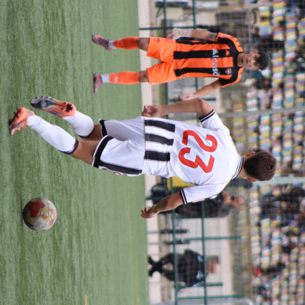 gallery-item