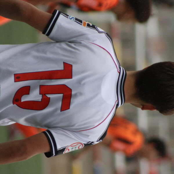 gallery-item