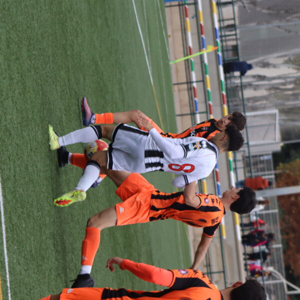 gallery-item