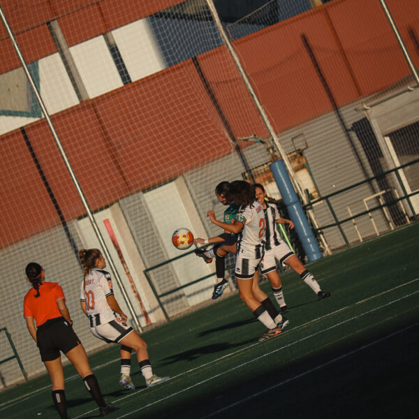 gallery-item