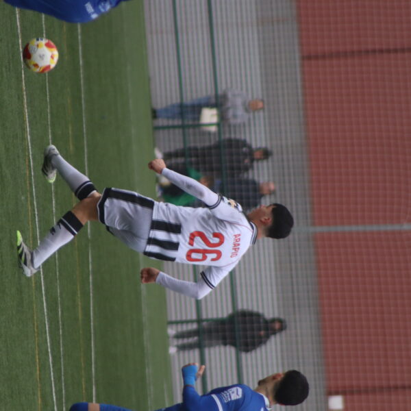 gallery-item