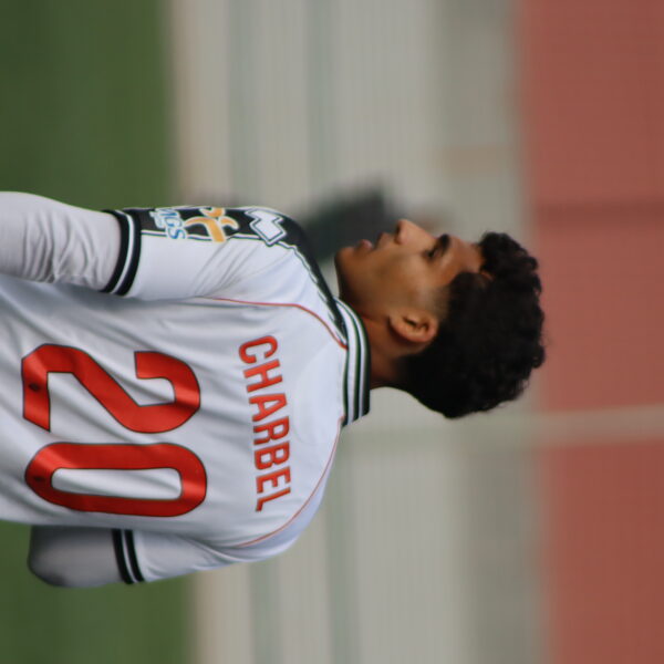gallery-item