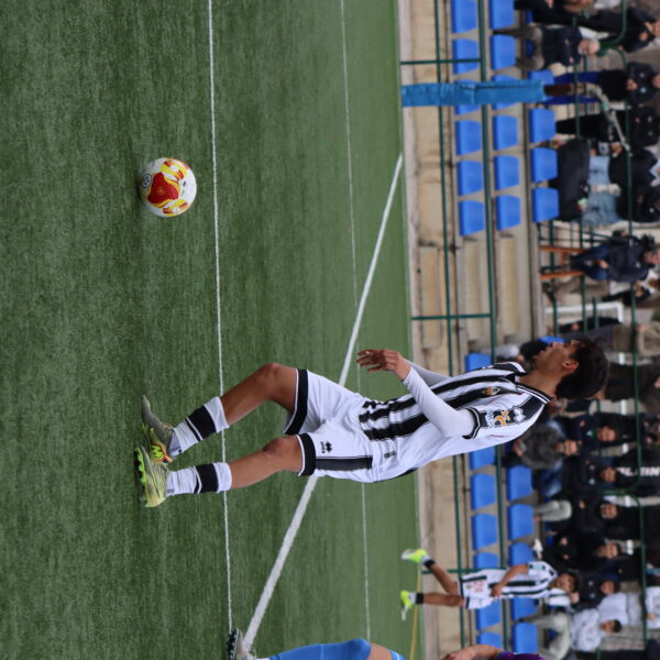 gallery-item