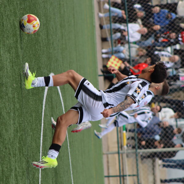 gallery-item