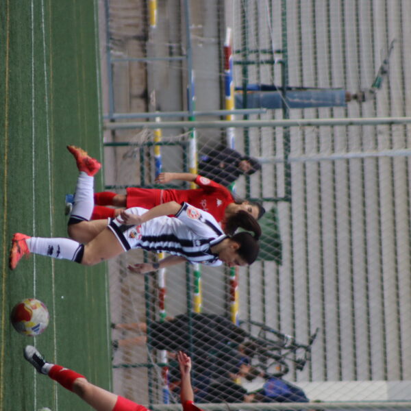 gallery-item