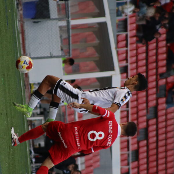 gallery-item