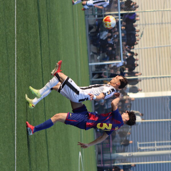 gallery-item