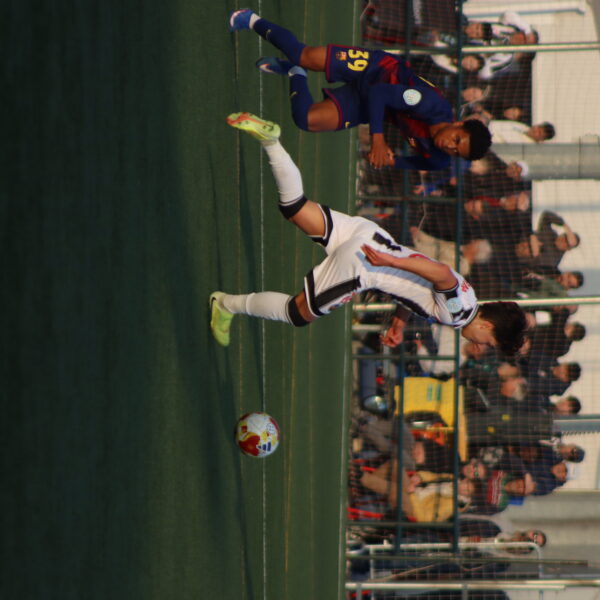 gallery-item