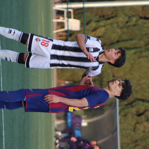 gallery-item