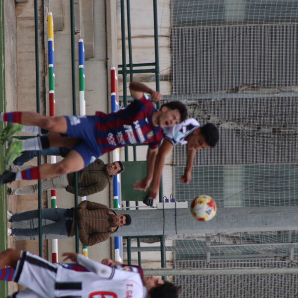 gallery-item