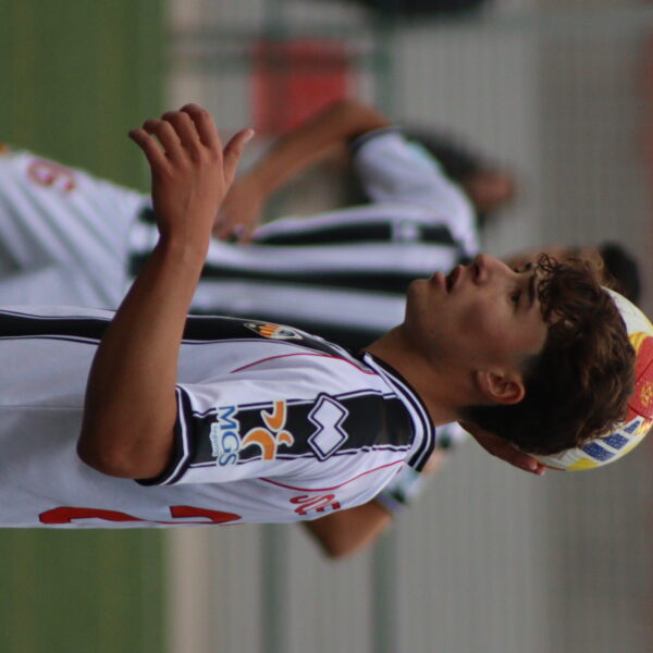 gallery-item