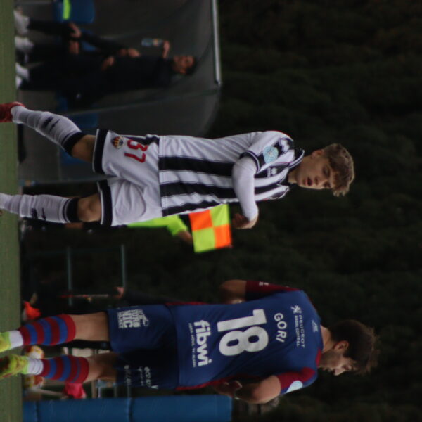 gallery-item